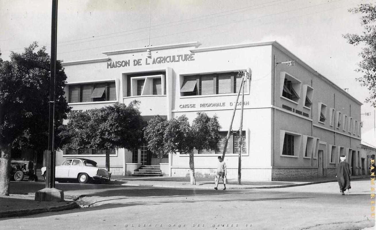 Hammam bou hadjar 500- Maison agriculture COLLECTION DES AMIS DE ND DE SANTA CRUZ.jpg